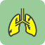 body-human-internal-lungs-organ-respiratory-system-icon