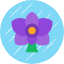 orchid-icon