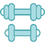 dumbbell-dumbbells-dumbell-dumbells-training-weight-icon