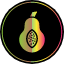 food-fruit-organic-papaya-seeds-tropical-fruits-and-vegetables-icon