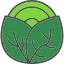 salad-cabbage-fresh-vegetable-harvest-plant-icon