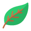 leaf-leaves-green-icon