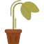 withered-flower-plant-garden-drought-icon