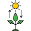 photosynthesis-ecology-leaf-energy-sun-icon