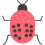beetle-coleoptera-entomology-insect-weevil-icon
