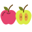 autumn-apple-fruit-food-healthy-organic-icon