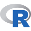 r-lang-icon