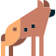 hyena-icon
