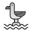 bird-fishing-gull-kittiwake-mew-seagull-tern-icon