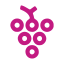 grapes-icon