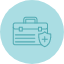 bag-health-insurance-shield-suitcase-icon