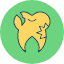caries-tooth-brokencaries-dentist-icon-icon