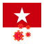 flag-country-corona-virus-vietnam-icon