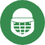 batsman-batter-cricket-cricketer-one-day-test-match-icon