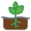 planting-roots-growth-agronomy-plant-icon