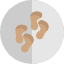 footprint-icon
