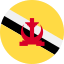 brunei-icon
