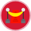 barrier-rope-carpet-movie-red-icon