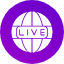 news-broadcasting-live-stream-television-screen-icon-vector-design-icons-icon