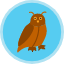 education-knowledge-learn-owl-school-study-wisdom-icon