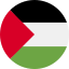 palestine-icon