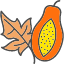 leaf-papaya-food-fruit-fruits-healthy-icon