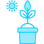 photosynthesissprout-plant-sun-photosynthesis-gardening-icon-icon