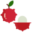 litchi-fruit-fruits-food-icon