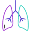 bronchitis-inflamation-influenza-lung-pneumonia-icon-vector-design-icons-icon