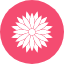 bloom-blossom-dandelion-floral-flower-garden-plant-icon
