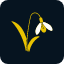 flower-flowerbed-garden-plant-snowdrop-folwers-icon