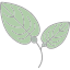 anthurium-flower-natural-aromatic-plant-rose-iris-icon