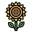 autumn-sunflower-flower-farm-nature-icon