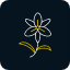bloom-blossom-flower-flowering-plants-lilium-lily-floral-icon