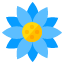 dahlia-flower-floweret-blossom-botany-nature-icon