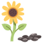 sunflower-food-organic-seeds-flower-snack-icon