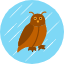 education-knowledge-learn-owl-school-study-wisdom-icon