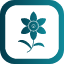 chrysanthemum-daffodil-gladiolus-horticulture-jonquil-narcissus-primrose-icon