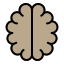 brain-mind-neuron-intelligence-science-icon