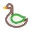 animal-swan-duck-bird-drake-wild-nature-icon