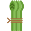 asparagus-icon