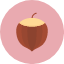 acorn-hazelnut-nut-peanut-autumn-oak-icon