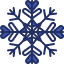 snowflakeflake-weather-snow-winter-ice-crystal-cold-nature-icon