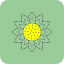 bloom-blossom-flower-garden-summer-sunflower-floral-icon