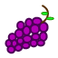 fruit-grape-icon