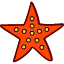 beach-fish-sea-star-starfish-summer-icon