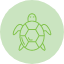 animal-tortoise-turtle-reptile-icon