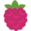 raspberry-icon