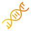 dna-genetical-structure-science-biology-icon
