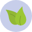 leaf-agronomy-crop-growth-nature-icon-icon